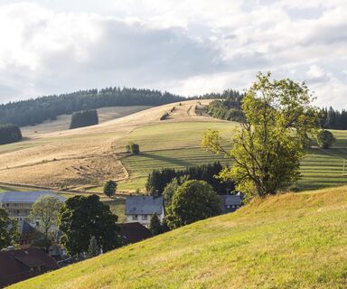 Blick auf Herrenschwand