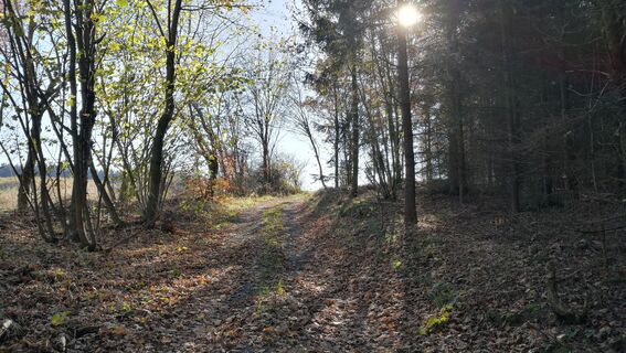 Von Schilbach über Seubtendorf zum Triebigsbach