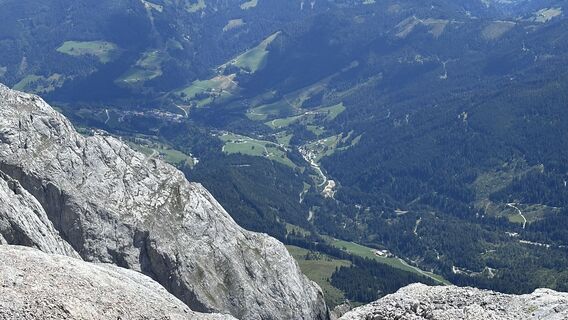 Foto von Mountain Cat ? ⛰️ entlang der Tour
