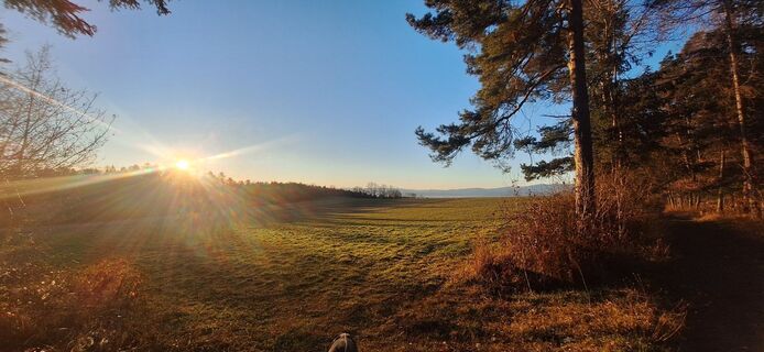 Foto från Markus Ortner under resans gång