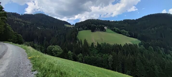 Fotografija s spletne strani wolfkl na poti