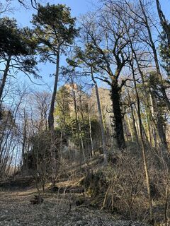 Fotografie z RS76 na trase