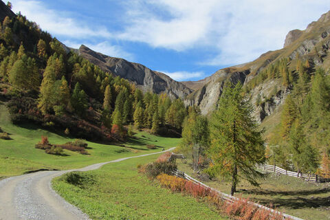 Gletscherwanderung