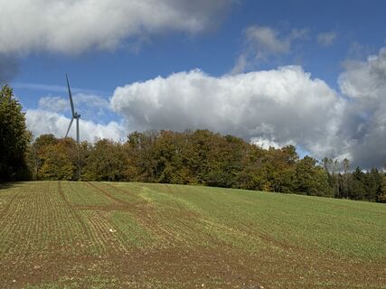 Foto da Grizzli lungo il tour