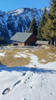 Foto de Mono_X a lo largo del recorrido