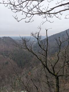 Photo from Phil along the tour