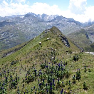 Vom Nebelkareck öffnet sich der Blick auf die Ankogel- und Hafnergruppe.
