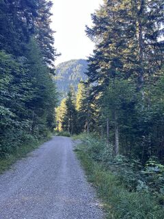 Foto de Henryk Pietrzyk a lo largo del recorrido