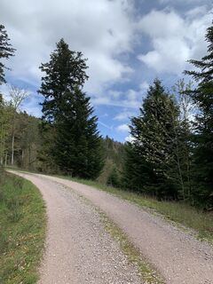 Foto da Kristina  1 lungo il tour