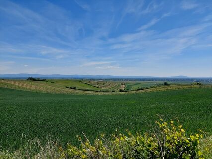 Photo de catherina le long du parcours
