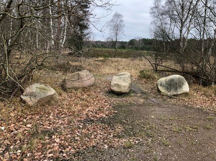 Findlinge am Blinden See
