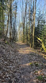 Fotografia z Yvonne Karcher na trase