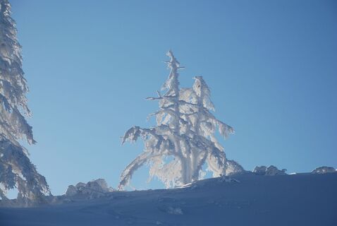 Winterwanderweg Pichl-Vorberg