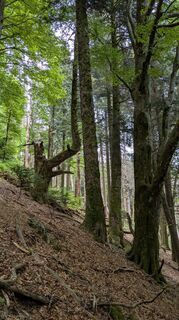 Fotografie z Richard Schwald na trase