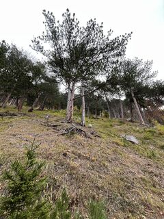 Foto von Valkai Gergely 1 entlang der Tour