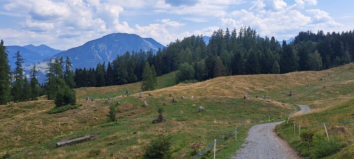 Photo de Claudia Ritz 1 le long du parcours