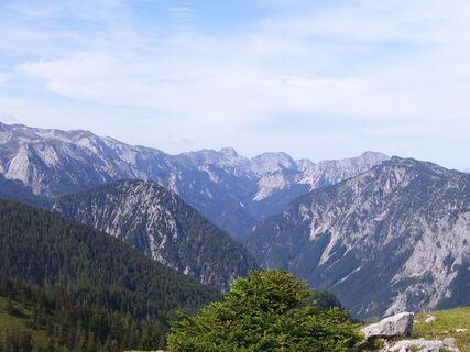 Ausblick