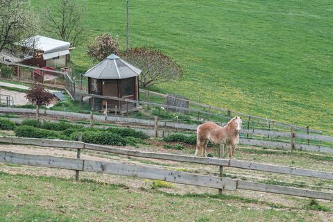Pferdekoppel am Panoramarundweg