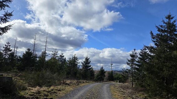 Foto von Gabriele Wagener entlang der Tour