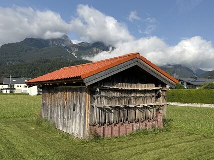 Zdjęcie z Grizzli wzdłuż trasy