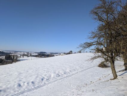 Photo de Stefan Bock le long du parcours