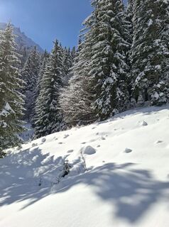 Foto von Andi entlang der Tour