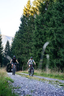 E-Biker am Weg zum Lackenkogel
