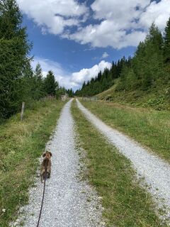 Fotografia z Koen De Wit na trase