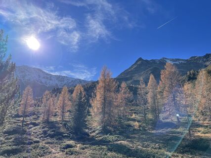 Foto von Lisa Amann entlang der Tour