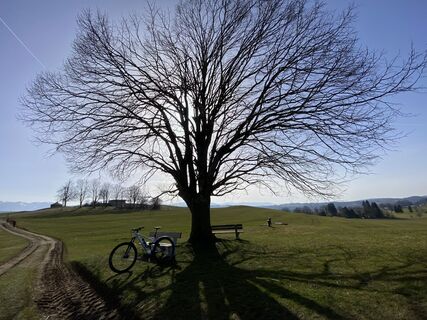 Fotografie z Sven Krieblin na trase