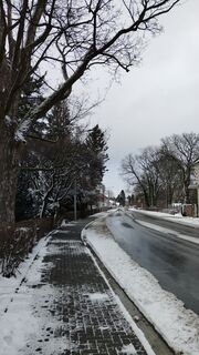 Fotografie de la Jara D. de-a lungul turului