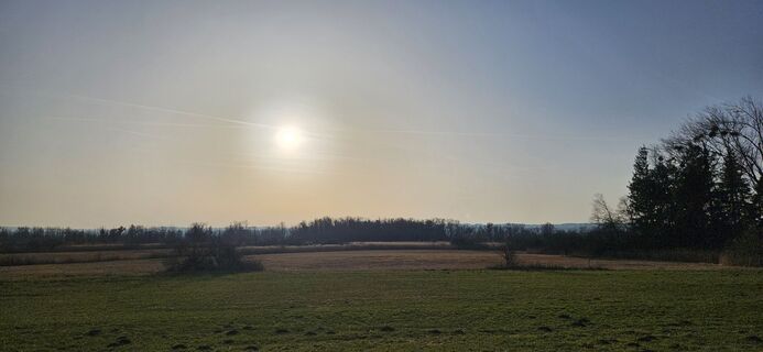 Zdjęcie z garrincha wzdłuż trasy