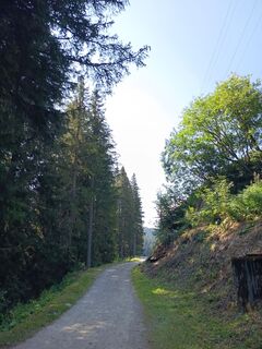 Fotografija s spletne strani Aner na poti