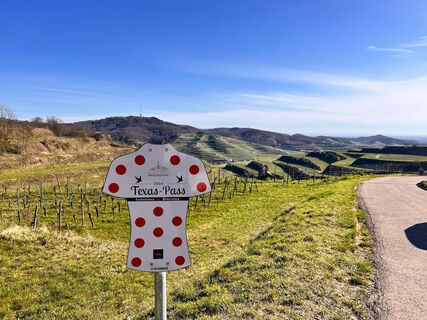Rennradbeschilderung Texas Pass 2