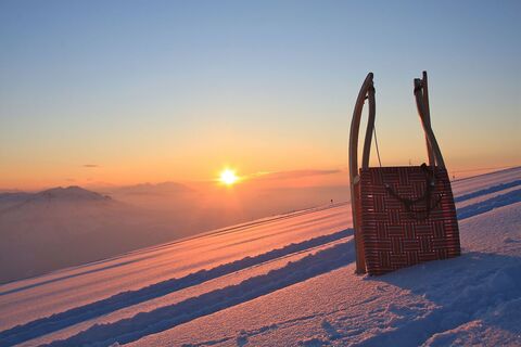 Rodelpartie im Abendlicht von Baumgarten