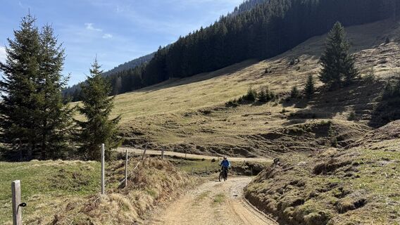 Foto von Similaun entlang der Tour
