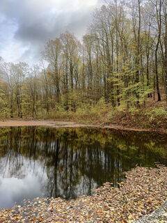 Foto von Krisztina Vörös entlang der Tour