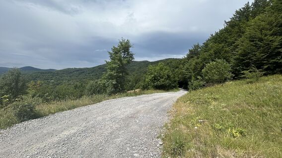 Photo de divancan le long du parcours