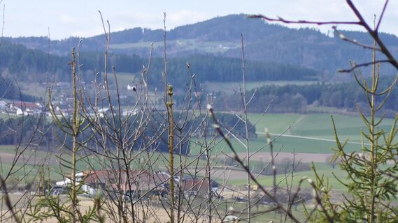 Fotografia z prager64 na trase