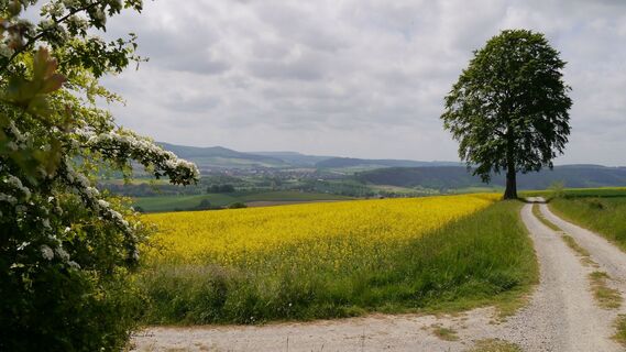 Landschaft in Groß Berkel