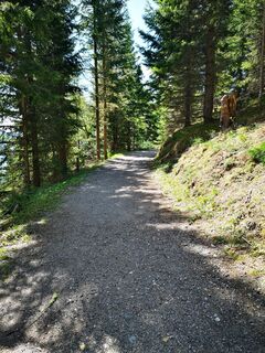 Fotografija s spletne strani roxana62 na poti