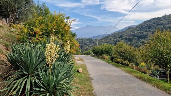 Photo de Fabrizi Mellano le long du parcours