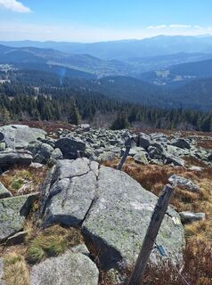 Foto von Katharina entlang der Tour