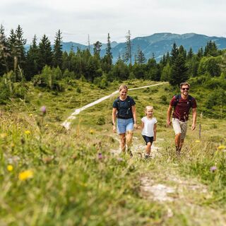 Wanderung zur Steinalm