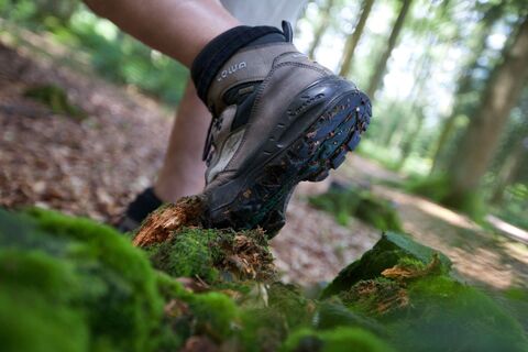 Wandern