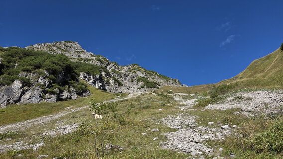Kuva osoitteesta V Feurstein matkan varrella