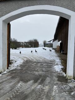 Foto de Daniel Vogel a lo largo del recorrido
