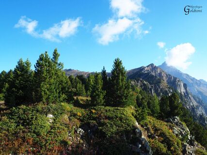 A057 Alpen
