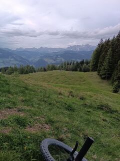 Fotografija s spletne strani tulava bota na poti