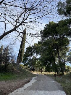 Fotografija s spletne strani Veronika Köppen na poti
